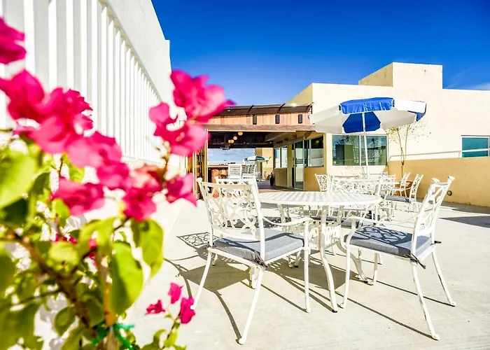 Cheap hotel: Hotel 12 Bees By Kavia